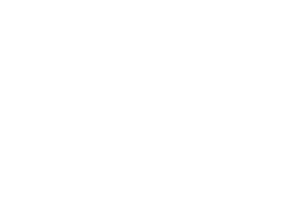 Logo von Peters Dächer in weiß